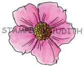 H-172 Lg. Wild Rose
